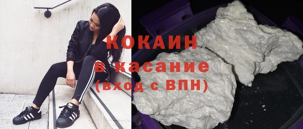 стафф Арсеньев