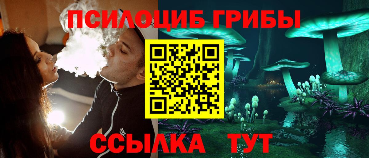 Псилоцибиновые грибы MAGIC MUSHROOMS Полевской
