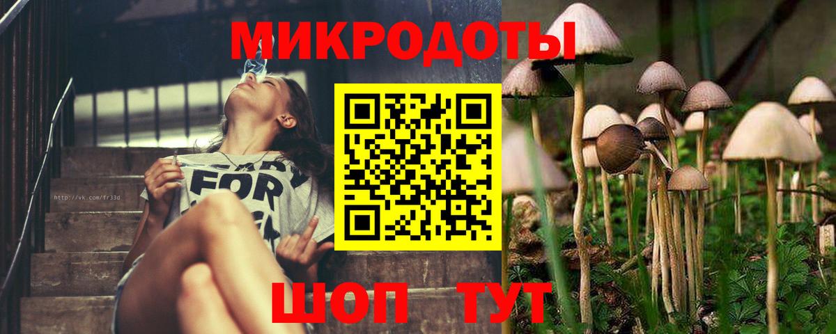 Полевской  Псилоцибиновые грибы Magic Shrooms  Вход с VPN 